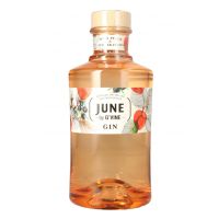June Wild Peach & Summer Fruits 0,7L (37,5% Vol.)