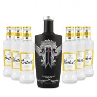 Icelandic Mountain Premium Gin 0,7L + 6x Britvic Tonic Water