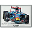 Litho Max Verstappen STR10 | Toro Rosso | Eric Jan Kremer