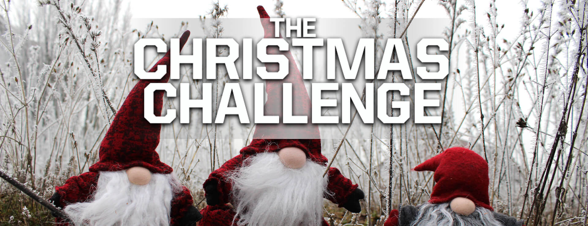 The Christmas Challenge - 益智游戏 遊戲