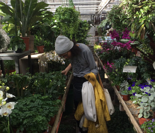 Et billede af en kvinde, der går rundt i et drivhus og kigger på planter.