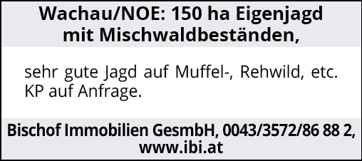 Wachau/NOE: 150 ha Eigenjagd mit Mischwaldbeständen