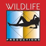 Wildlife avatar