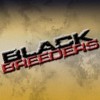 Black Breeders