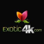 Exotic4K avatar