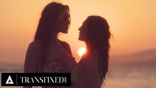 TRANSFISSO - Sexy Tori Easton Hard Rough scopa una ragazza calda in bikini dopo essersi goduta il tramonto