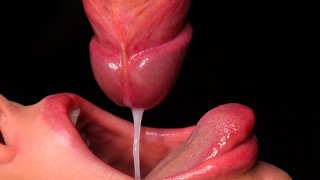 GROS PLAN: MEILLEURE bouche de traite pour votre bite! Sucer la bite ASMR, la langue et les lèvres pipe