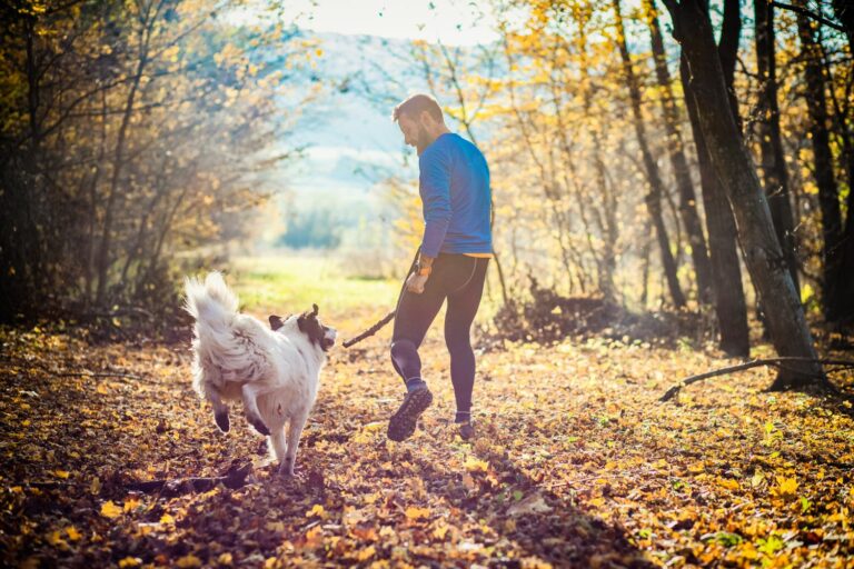 gps-tracker-im-vergleich