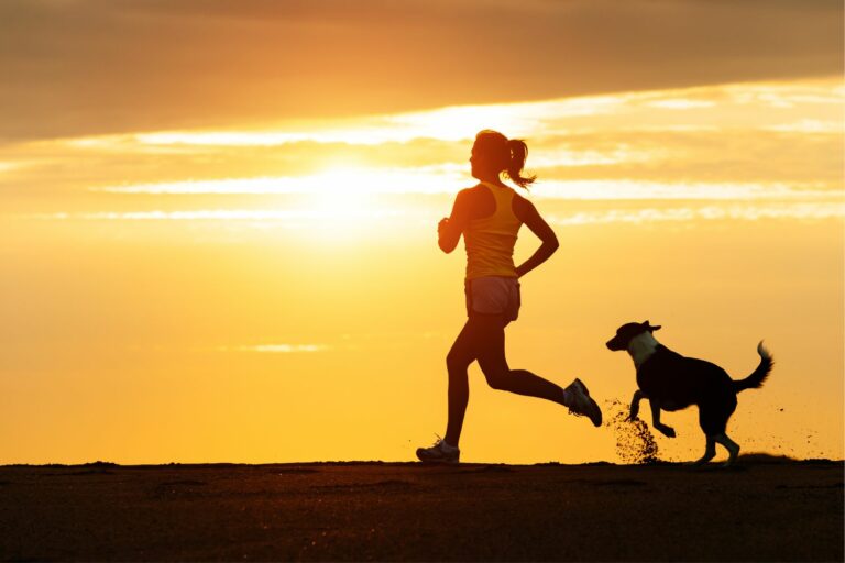 Joggen mit Hund