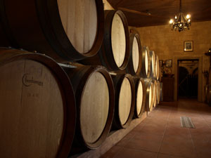 Wijnkelder van een Grieks wijnhuis op Rhodos.