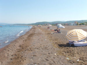 Angali beach bij Agia Anna Evia