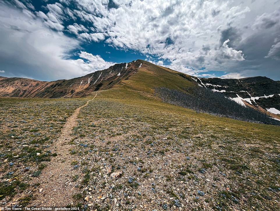'The Scapegoat Wilderness stretches out in front of us with some easy grasslands,' writes Voors as he recalls reaching the 289th mile of his journey. The area comprises 239,936 acres spread across three national forests in Montana. Voors continues: 'Countless spring flowers blossom along the trail as it winds up and over the ridges. It's as if we're walking across the back of a sleeping dragon as it goes down the length of the Rocky Mountains'