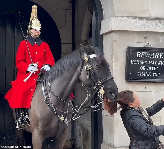 Video shows the shocking moment a King's Guard horse clamped down on a woman's ponytail, causing her to launch backwards, as she posed for a photo at the Horse Guards