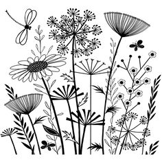 black and white drawing of wildflowers with dragonflies
