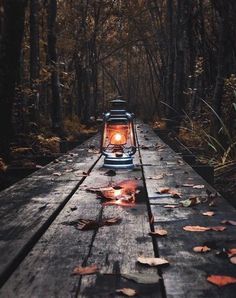 an instagram page with a lantern on the end of a wooden bridge surrounded by leaves