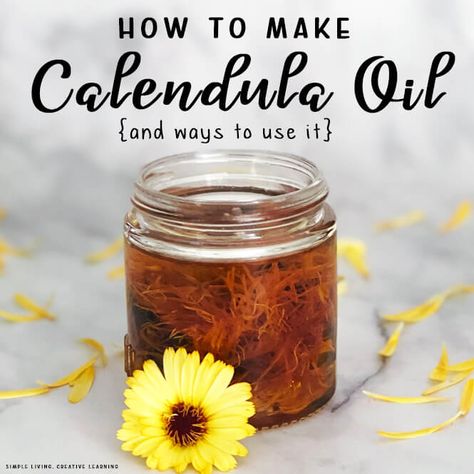 Growing your own flowers and using them to make this calendula oil is very affordable while being simple and pure. Jojoba Oil Recipes, Flower Infused Oil, Herbal Salve Recipes, Lavendar Oil, Medicinal Weeds, Salve Recipes, Calendula Flower, Calendula Oil, Diy Skin Care Recipes