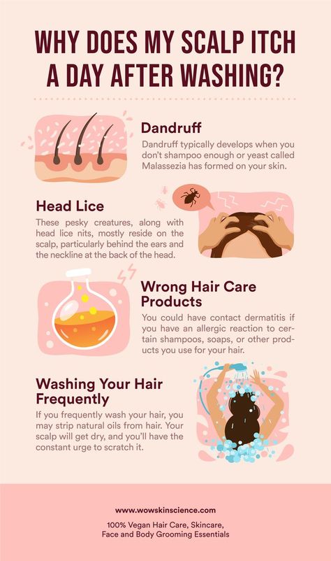 Scalp Itch, Scalp Health, Itchy Scalp Causes, Itchy Scalp, Scalp Care, Why Hair Loss, Healthy Scalp, Hair Regrowth, Hydrating Hair Mask