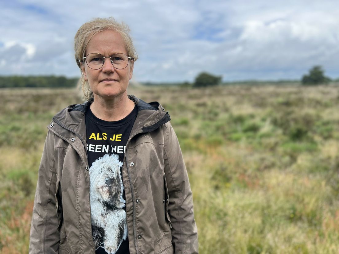 Schaapherder gestopt met begrazen voor Staatsbosbeheer: 'Mijn passie en bedrijf zijn kapotgemaakt'
