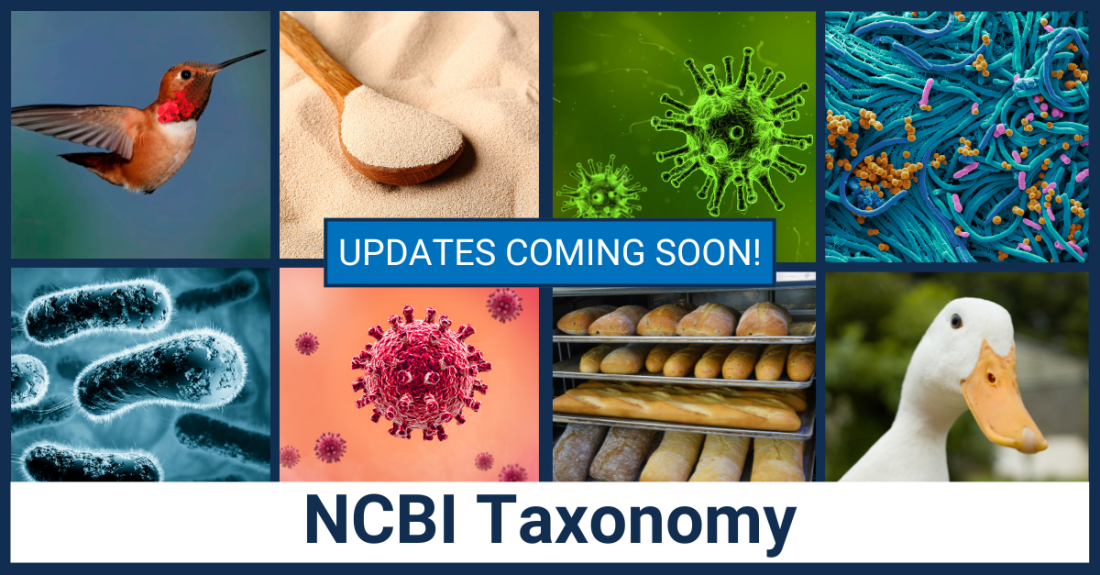 Upcoming Changes to NCBI Taxonomy Classifications