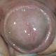 precum69