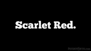Filmtrailer: Scarlet Red vom Nordpol # 112