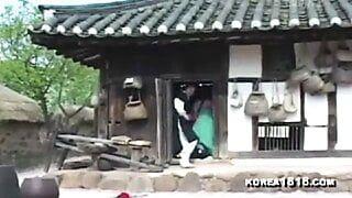 Traditionelle koreanische Frau wird gefickt