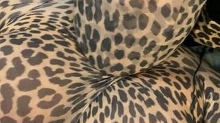 Leoparden-Strumpfhosen-Umhüllung