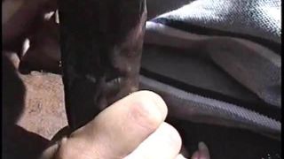 Interracial-Auto-Blowjob