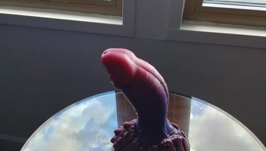 Mein bad dragon dildo