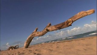 Tropische Insel voller schöner Frauen ist ein Traumurlaub