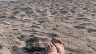 Бритая моллюск с видом на пляж