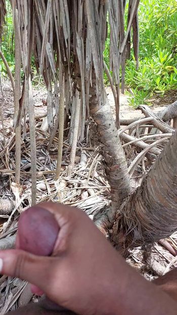 Quay tay trong bãi biển công cộng khỏa thân srilanka khỏa thân cắt bao quy đầu cậu bé Sinhala
