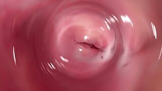 Die heißeste Muschi-Spreizung und interne Kamera in Mias sahniger Vagina
