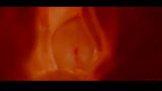 Der Penis in die Vagina der Linse