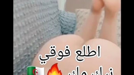 Алжирское порно
