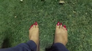 Lange rote Zehen auf Gras