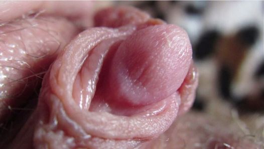 Grote clitoris compilatie close-up