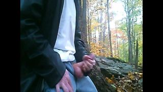 Herbstruck im Wald