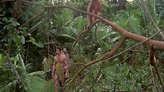 Dschungelblau - 1978 (restauriert)