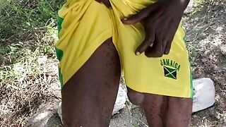 Jamaikanischer schwarzer muskelschwanz