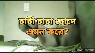 Bangladeschische heiße tante mit dickem arsch, sari, harter fick von hasband-freundin