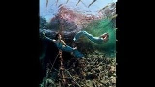 Black-weduwe diavoorstelling-onderwaterkunst Anatoly Beloshchin
