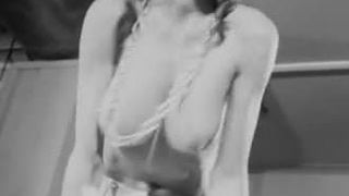Sexy Möpse, sexy Möpse, oben ohne Tabledance, Jahrgang 1969