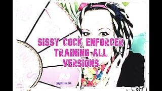 Nur Audio - Sissy-schwanztraining für alle versionen