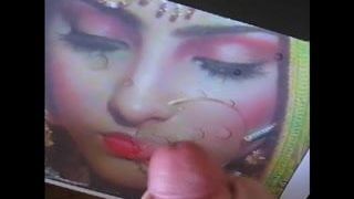 Gman Sperma auf Gesicht eines sexy indischen Mädchens im Sari (Tribut)