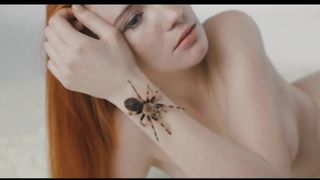 Mutige nackte Frau mit Spinne