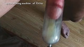 Die Sperma-Melkmaschine von Ususa
