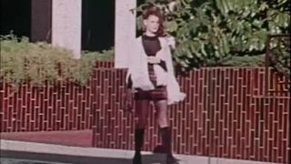 Loucura sexual jovem (1974) -softcore- mkx
