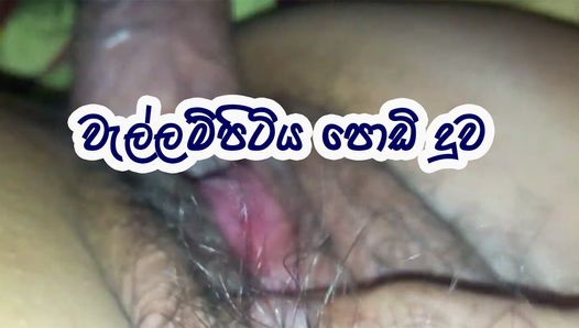 Сингальском секс-видео