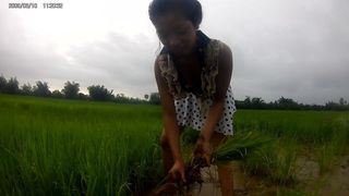 Sexy asiatisches Mädchen auf dem Reisfeld